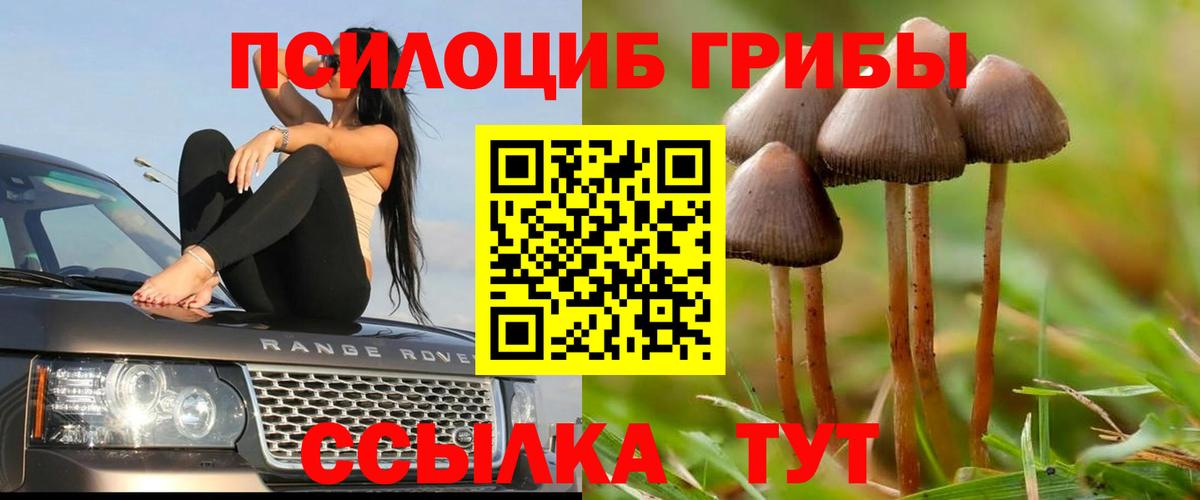 Галлюциногенные грибы Cubensis Унеча